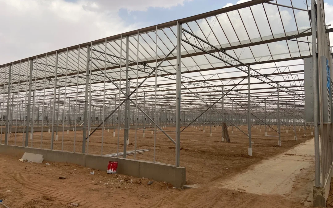 Project Saudi Arabië