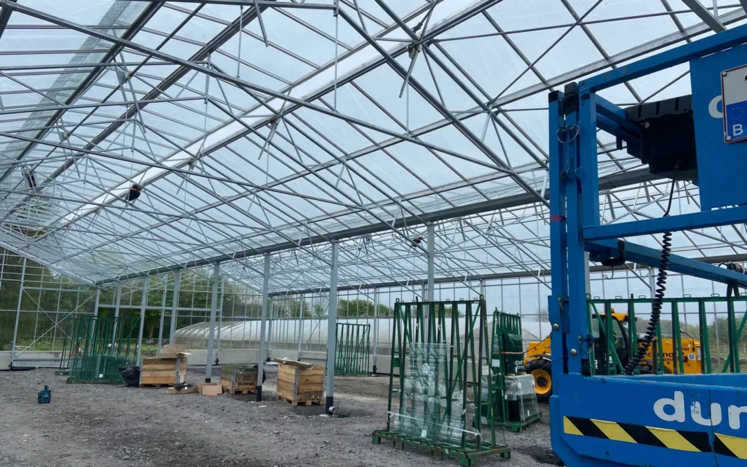 Project Belgium